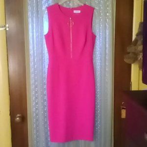 Calvin Klein Sz 6 Pink Sheath Dress